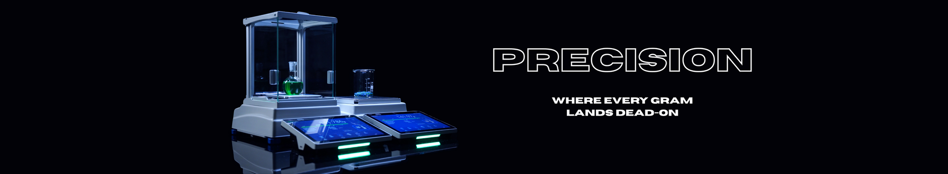 Precision Balances
